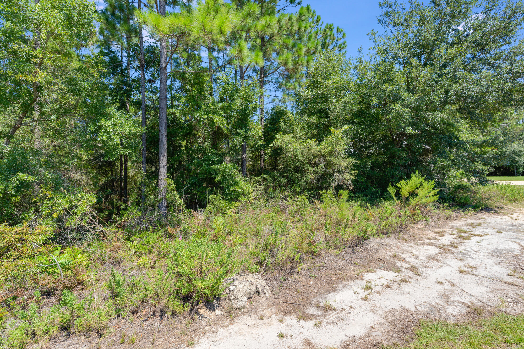 BEAR CREEK COTTAGES - Land