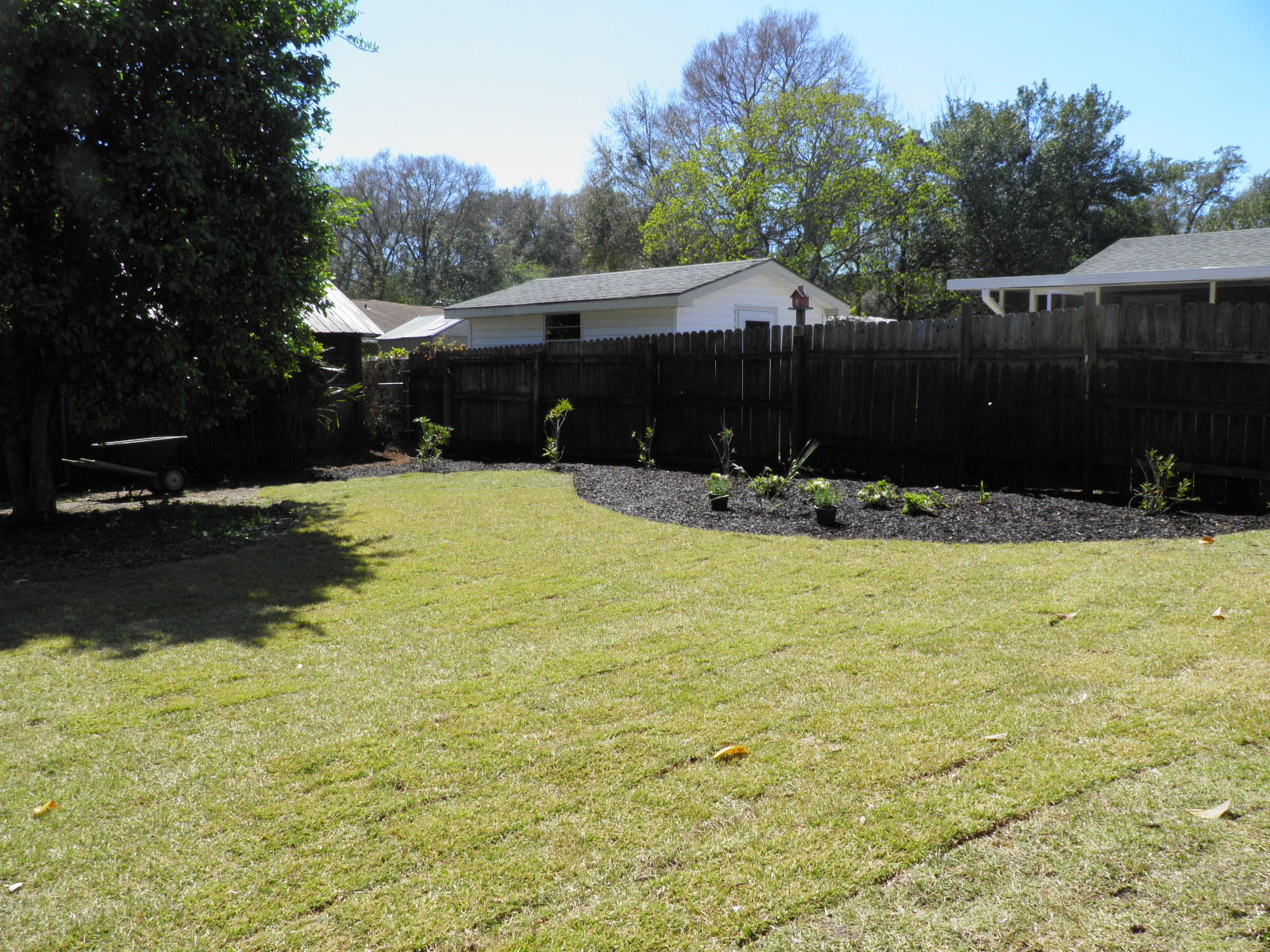 COLONY ESTATE/MIDPINES area - Residential Lease