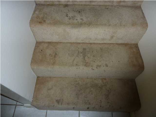 DOWNTOWNER - Residential Lease