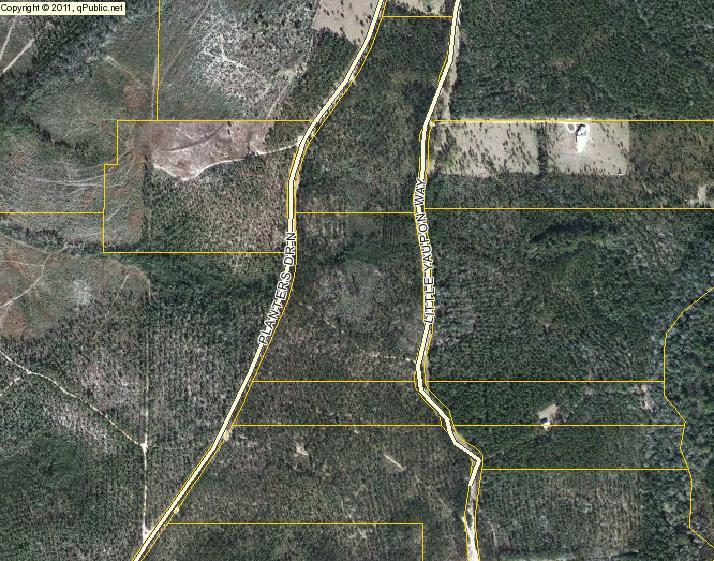 WALTON PLANTATION - Land