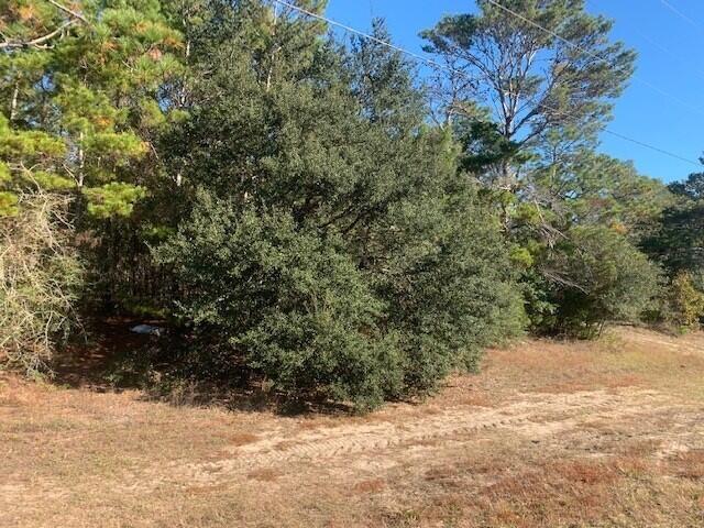 WOLFORD ACRES - Land