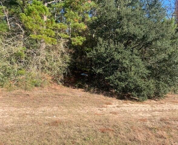 WOLFORD ACRES - Land