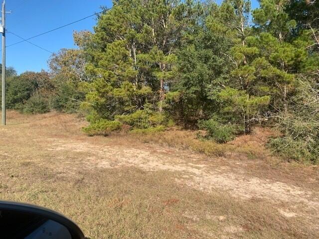 WOLFORD ACRES - Land