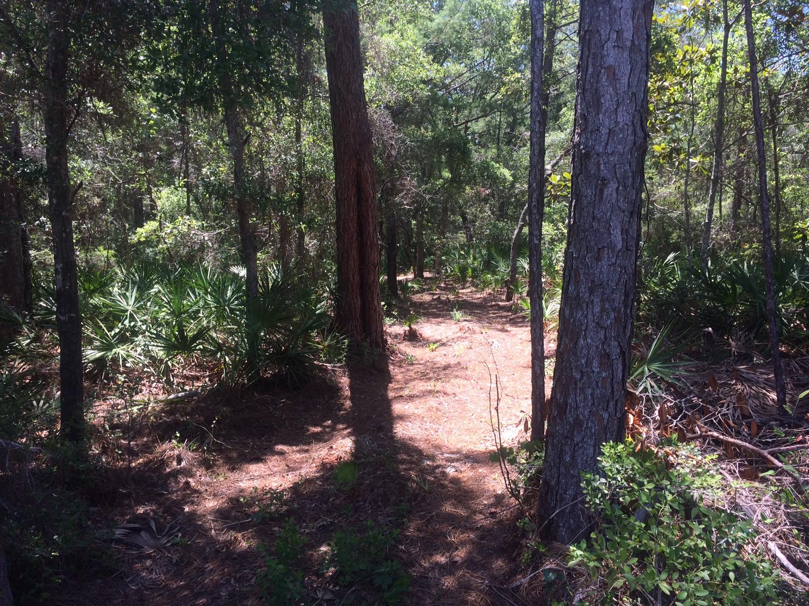 WOODLAND BAYOU ESTATES - Land