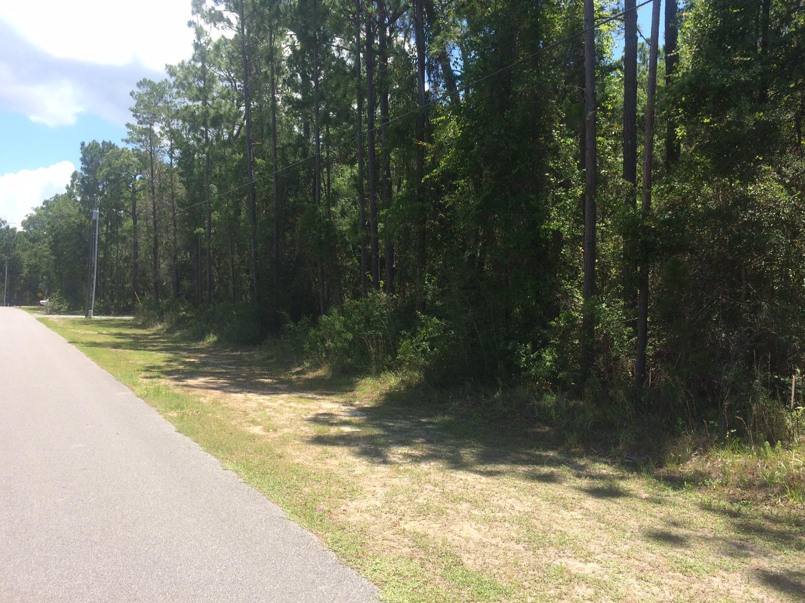 SPECTACULAR WATERFRONT LOT, 3.4 Acres averaging 200' Wide by 740' Deep, with mature centennial Oaks, Magnolias, Pines and More... on dry, elevated ground, leading from the street all the way to the Bayou. Perfect for a Family Estate for Boat and Nature Lovers!
Walk the convenient cleared path to the Dock and Bayou leading out to the Choctawhatchee Bay.
TRANQUILITY * SECLUSION * PRIVACY in a quaint and elegant Neighborhood, only minutes from all conveniences and the entertaining 'hot spots' of 30A, Santa Rosa Beach and Sandestin.