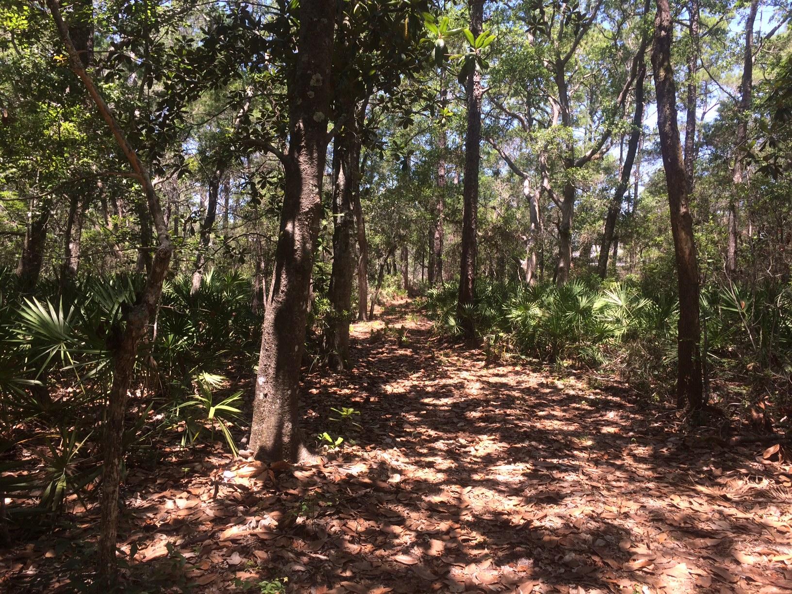 WOODLAND BAYOU ESTATES - Land