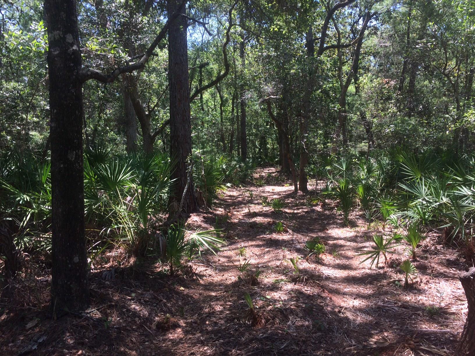 WOODLAND BAYOU ESTATES - Land