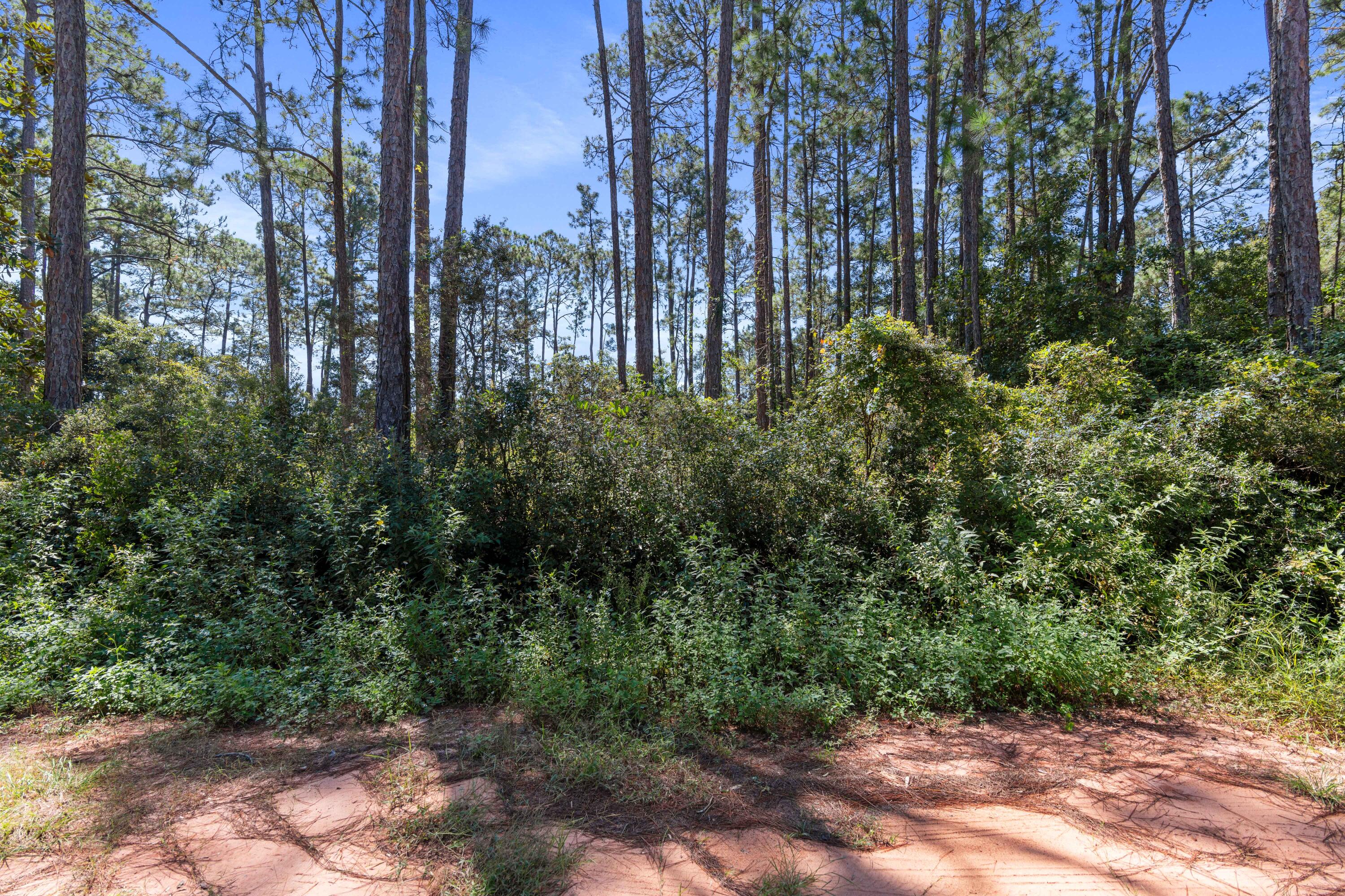 PEPPERTREE FARMS - Land