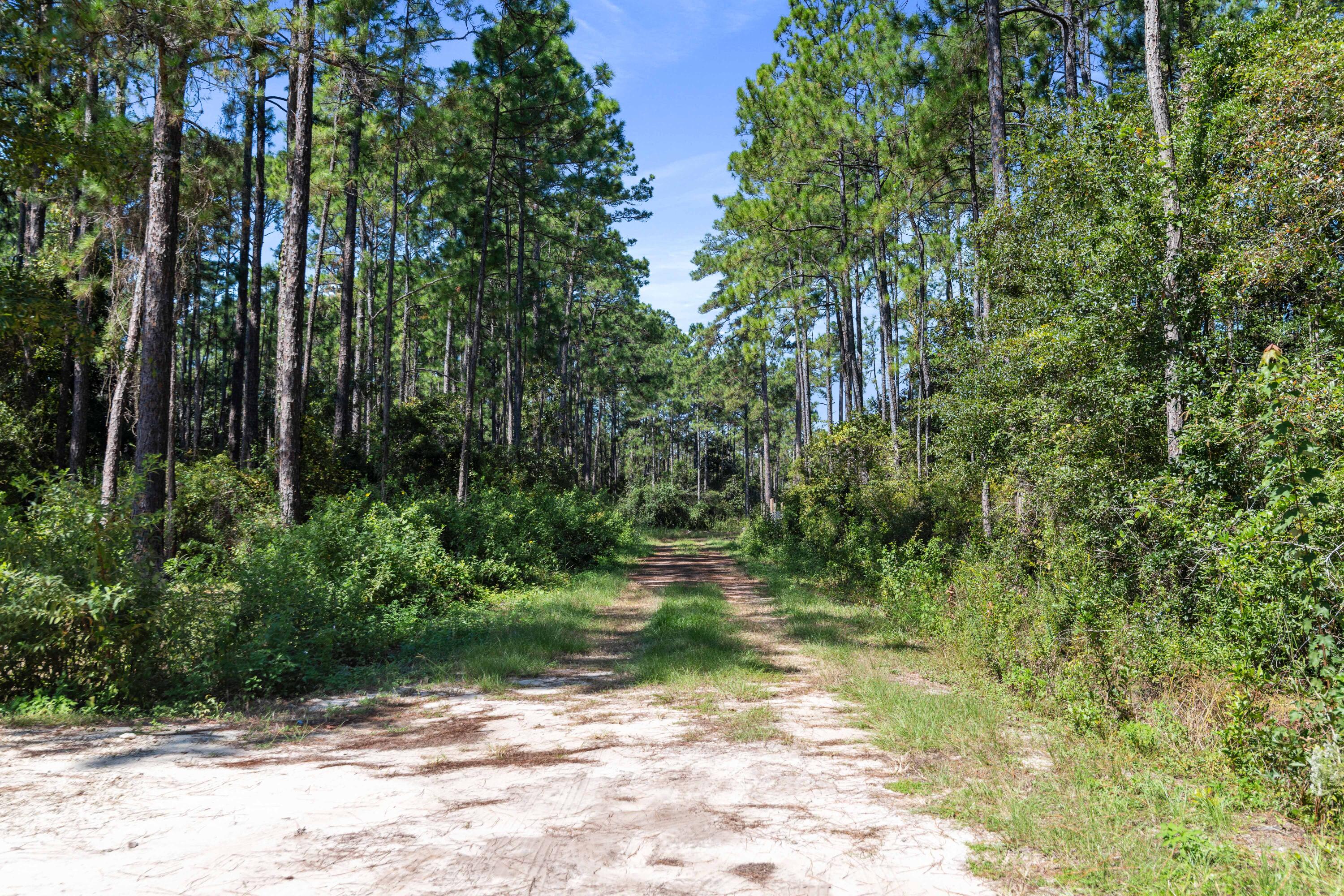 PEPPERTREE FARMS - Land