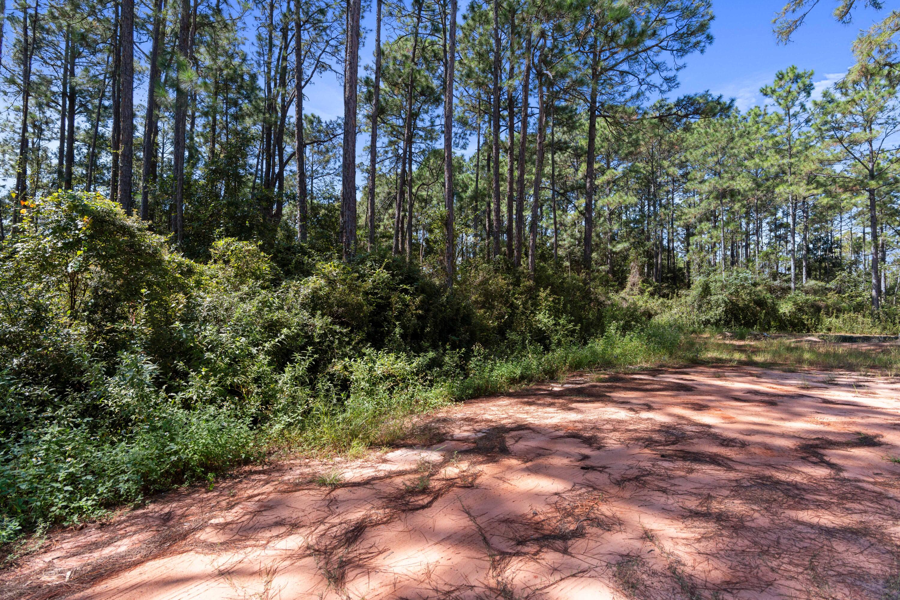PEPPERTREE FARMS - Land