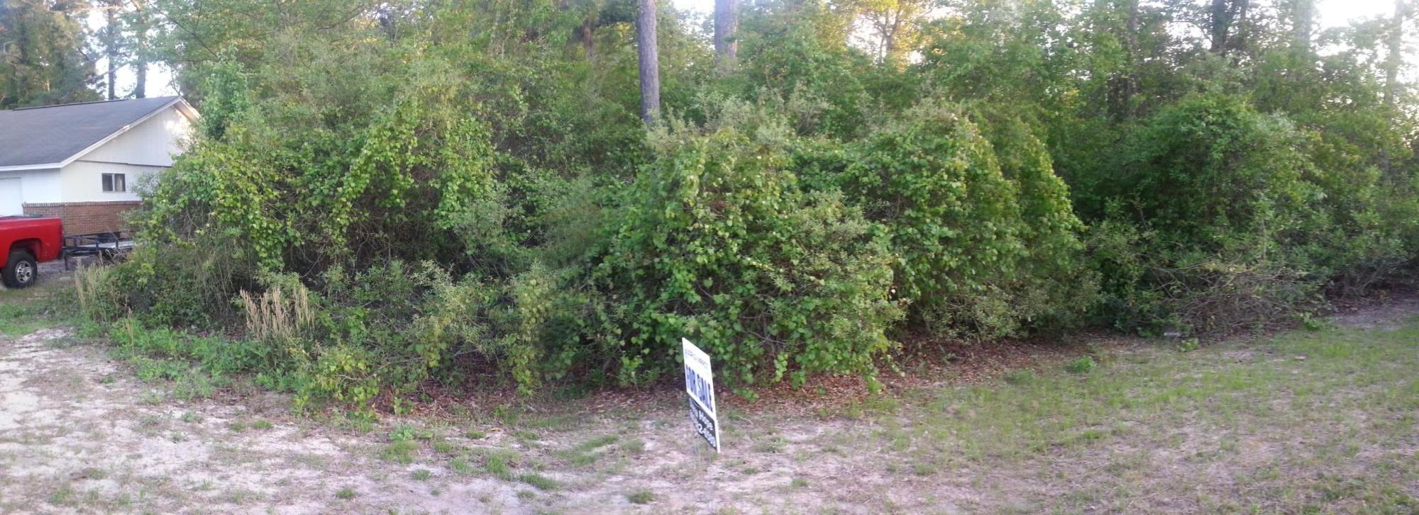 NEW PRICE!! Great Lot and a Great Price. WYNNEHAVEN BEACH ESTATES area. Perfect location to build your new Home! Lot has a spring fed creek of about 8 - 10 inches in width. A mobile home or a site built home are permitted for this site. Buyer to verify all information. Bring us a buyer you will not find a lot like this at a better price!!