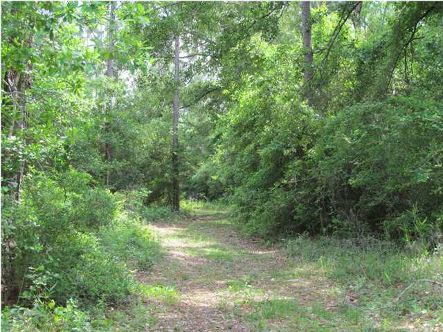 TEN LAKE ESTATES UNIT 1 - Land