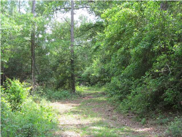 TEN LAKE ESTATES UNIT 1 - Land