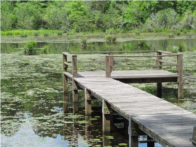 TEN LAKE ESTATES UNIT 1 - Land