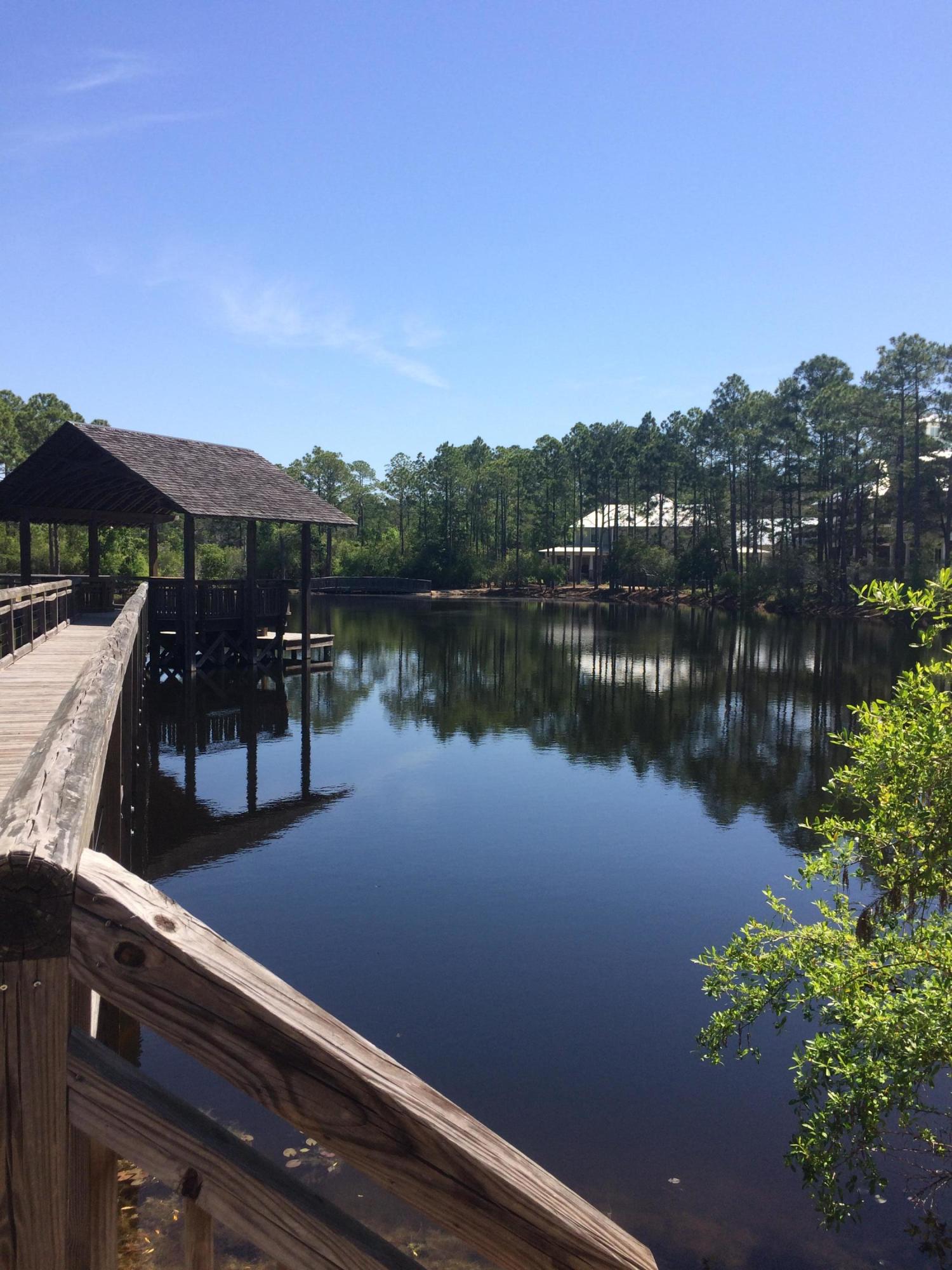 FOREST LAKES PH I - Land