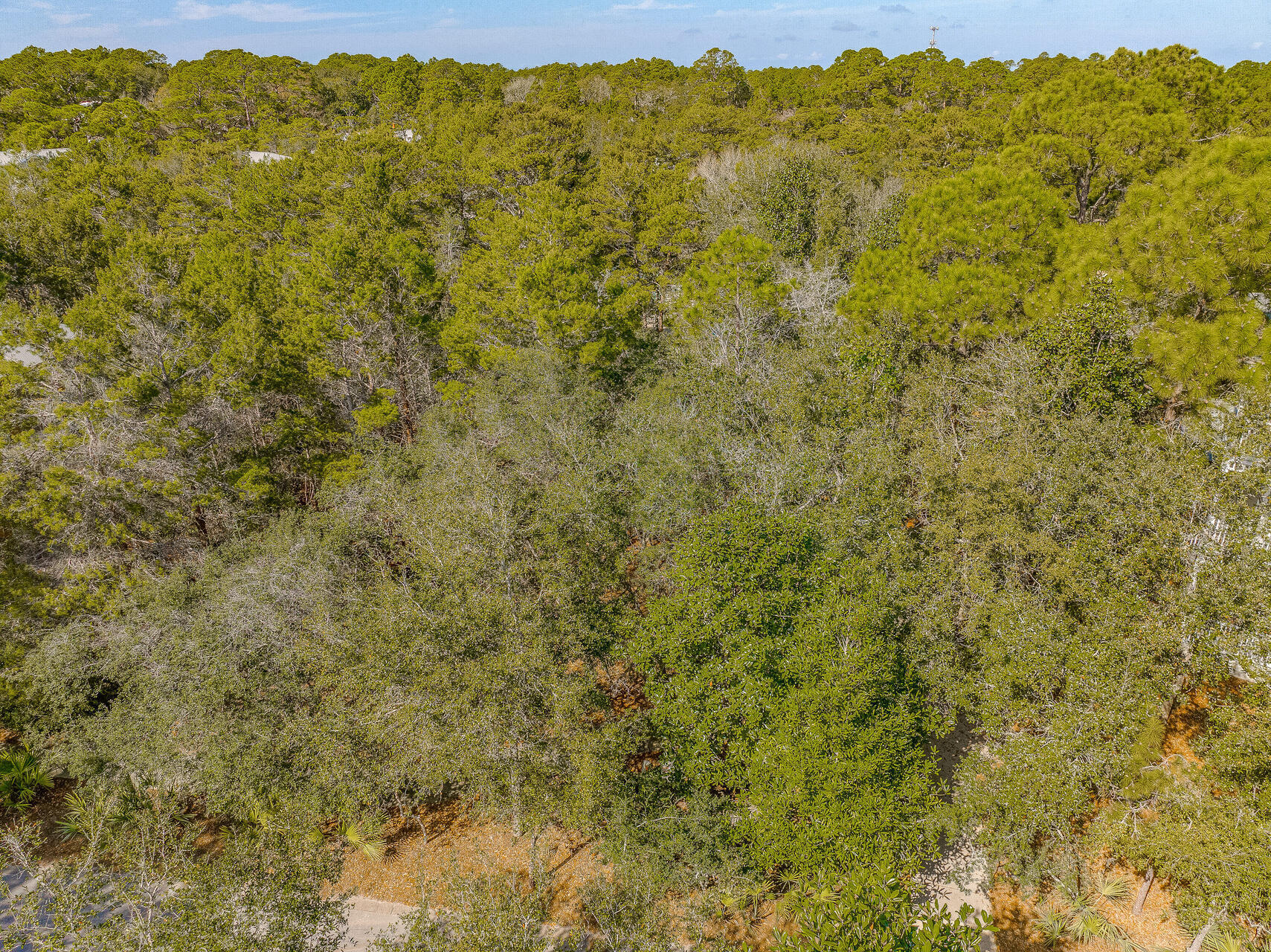 LAKE PLACE AT GRAYTON BEACH T/H - Land