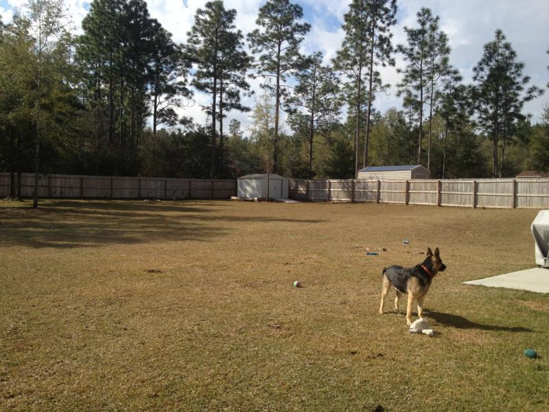 SILVER SPRINGS EST - Residential Lease