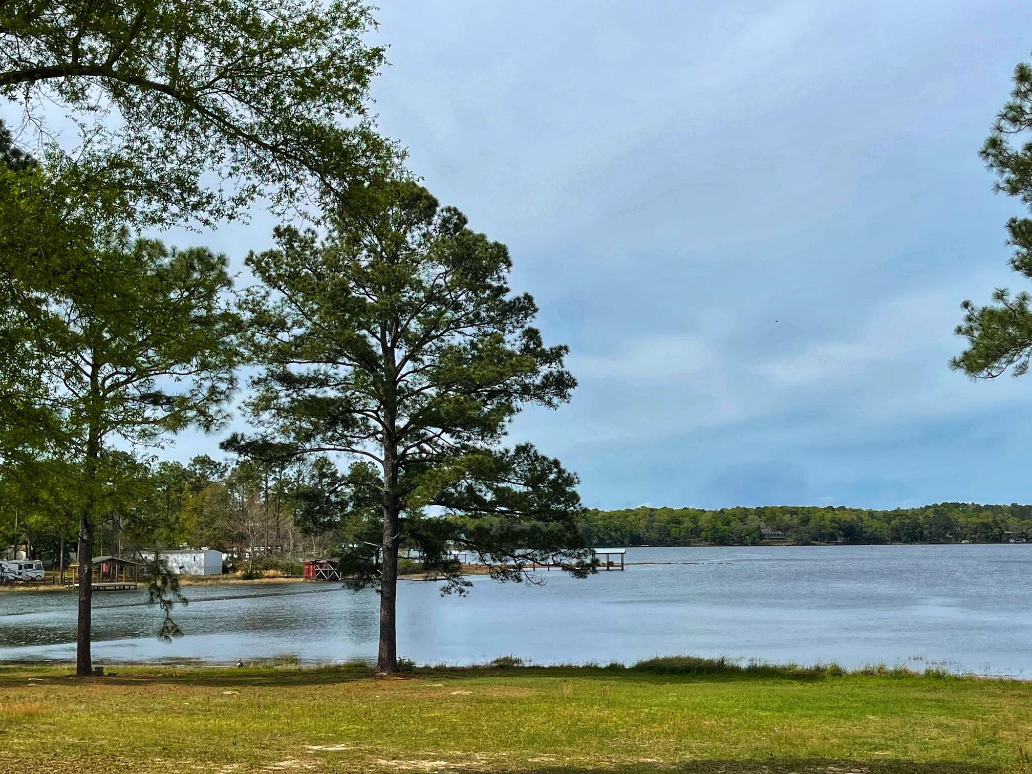 LAKE JUNIPER ESTATES UNIT 2 - Land