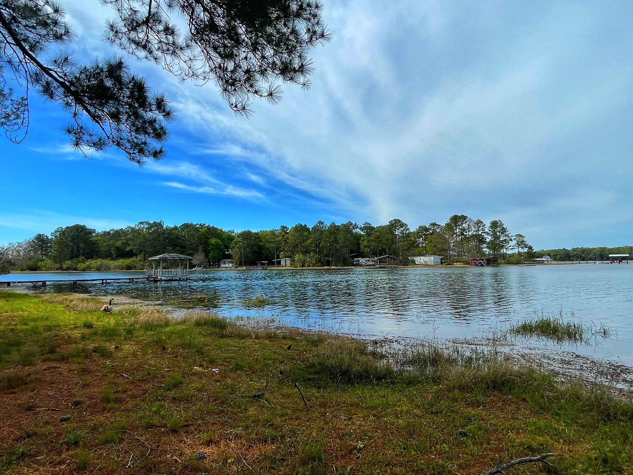 Beautiful waterfront lot (almost 1 acre). 200 feet of expansive, waterfront views!  This lot has 2 'tiny' homes that are just waiting for the new buyers to finish them out. The homes are both deemed safe for winds reaching 150 mph as per the manufacturer. In addition to the tiny homes, the seller has 2 new storage buildings/workshops on the property. All utilities are on the property to include- water, septic and electric. Juniper lake is a state managed lake and is known for it's record bass and bream. Come check it before it's gone! All measurements must be verified by buyer.