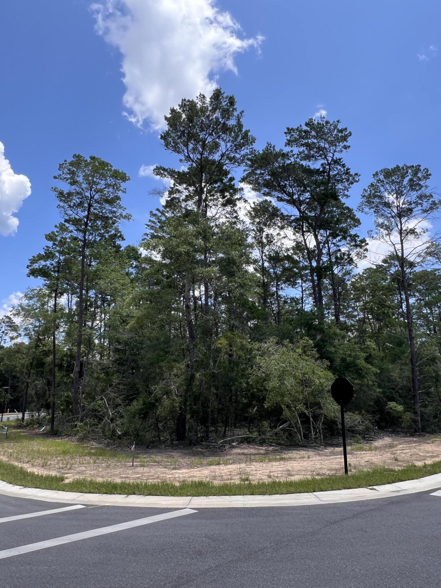 DEER MOSS CREEK - Land