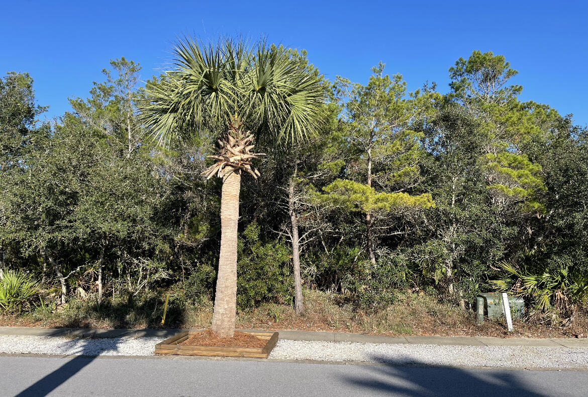 CARILLON BEACH - Land