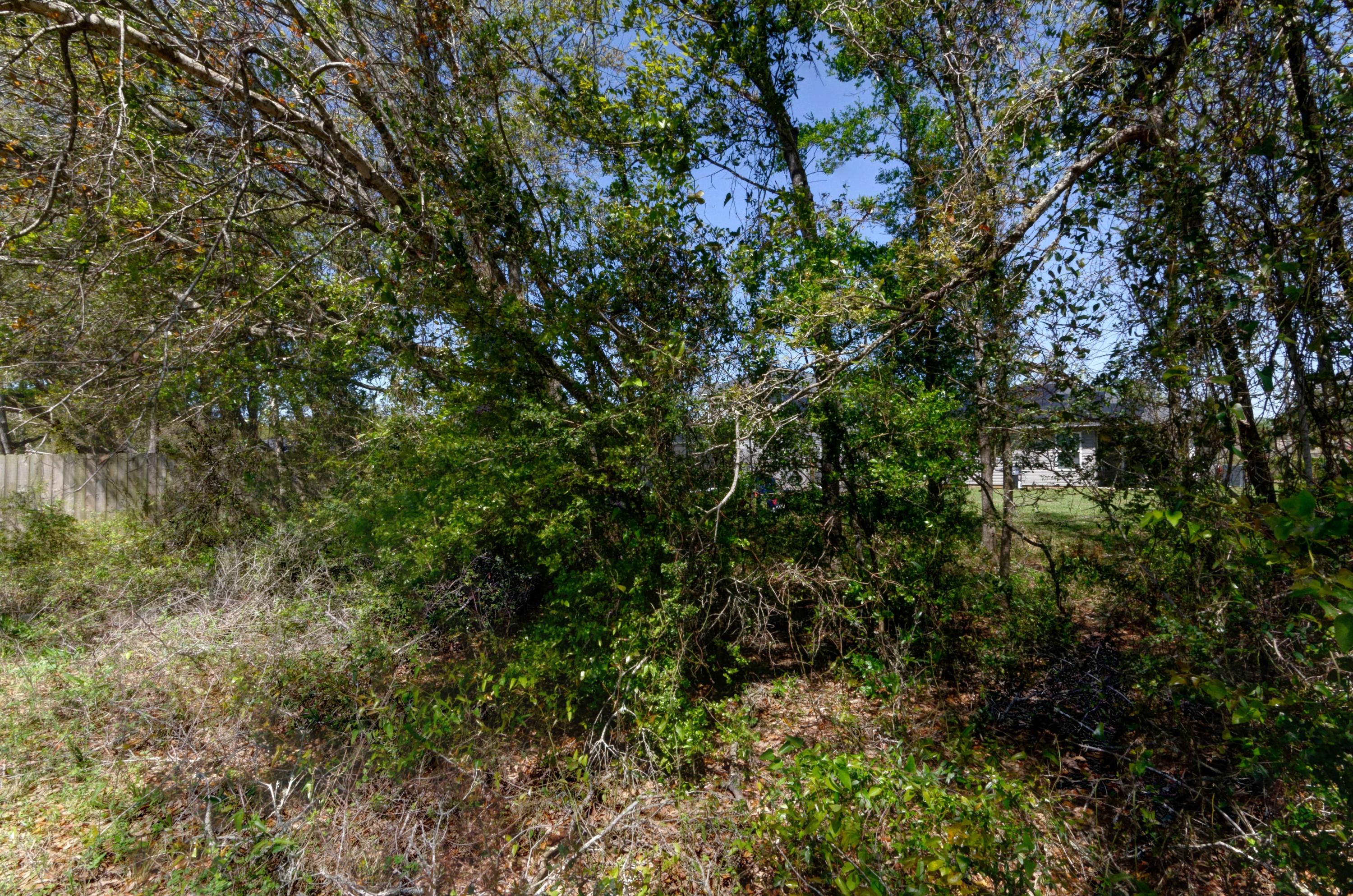 AVALON PARK - Residential