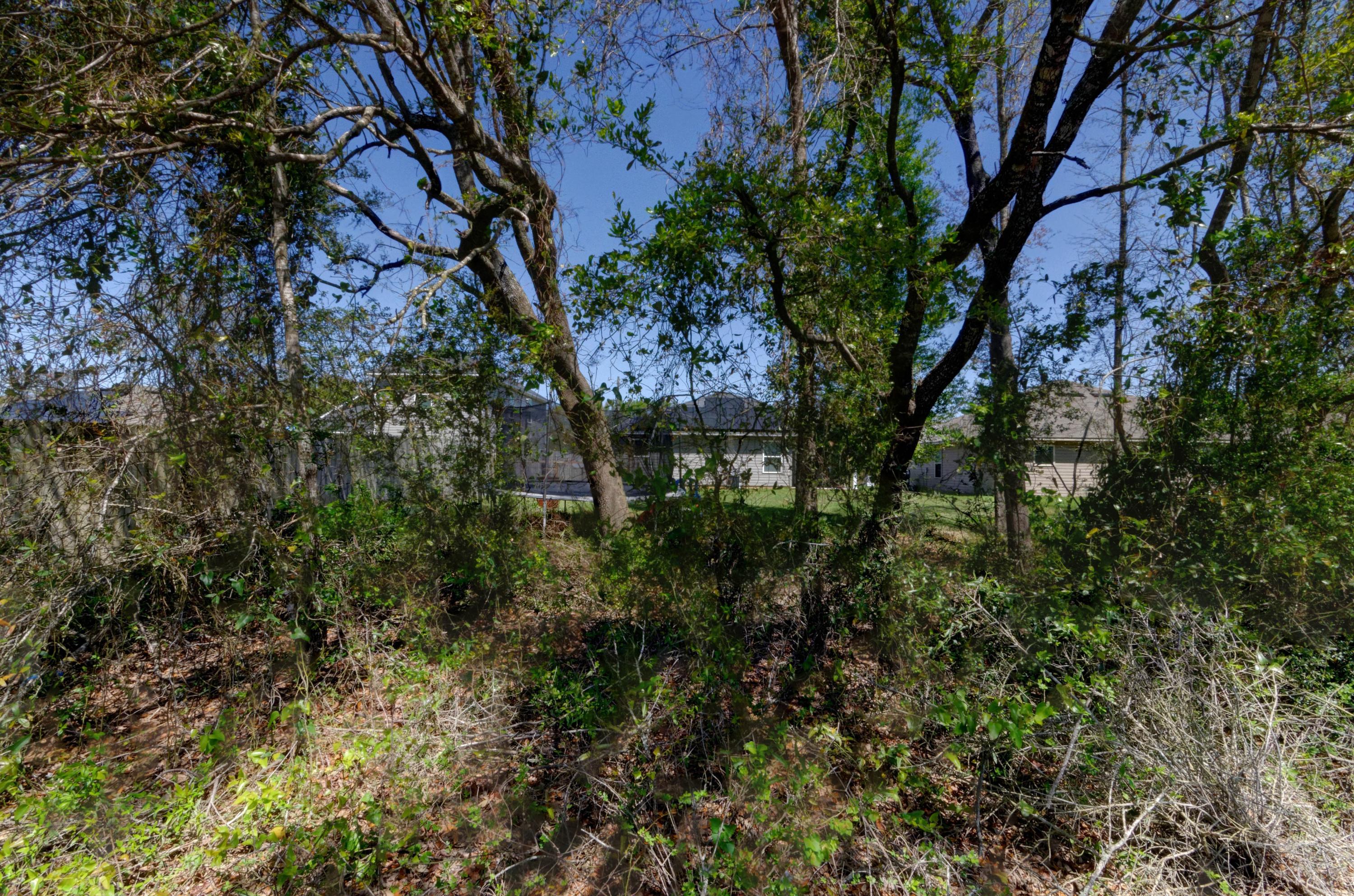 AVALON PARK - Residential