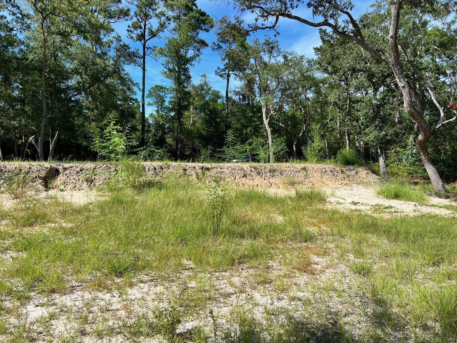 PRIDGEN'S UNRECD - Land
