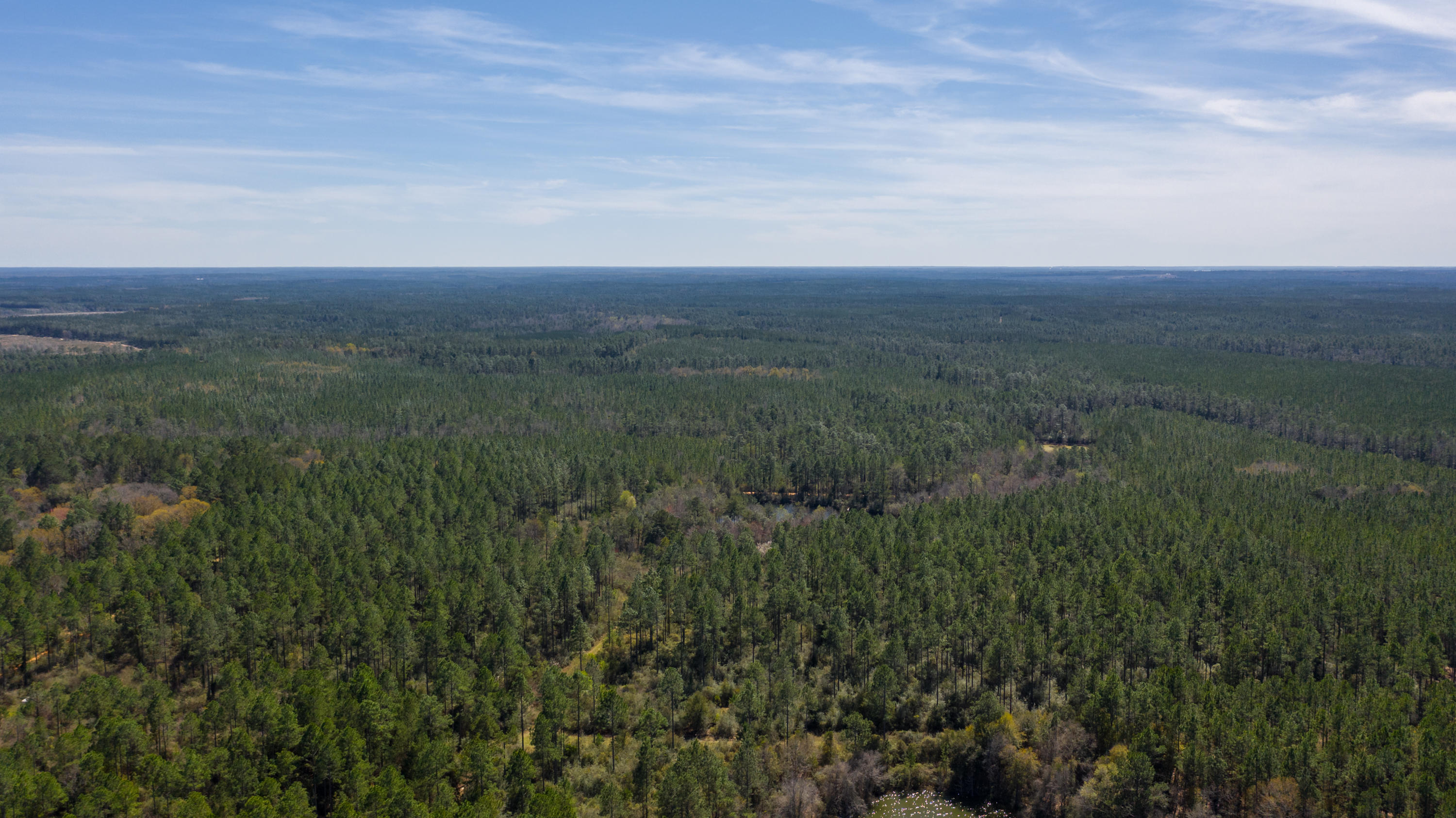 LOOKING FOR A GREAT PIECE OF PROPERTY NORTH OF CRESTVIEW TO BUILD YOUR DREAM HOME? THIS 20 ACRE PARCEL IS A GREAT  PARCEL! PROPERTY IS ZONED FOR HORSES AND COWS ALLOWED AS WELL AS MANUFACTORED HOMES. TONS OF WILDLIFE ABOUND - PERFECT PLACE TO FIND THE RELAXING HOMESITE YOU HAVE BEEN DREAMING OF! PROPERTY HAS BEEN CLEARED AND THINNED SINCE PREVIOUS PICTURE. EASY START TO YOUR NEW HOME!