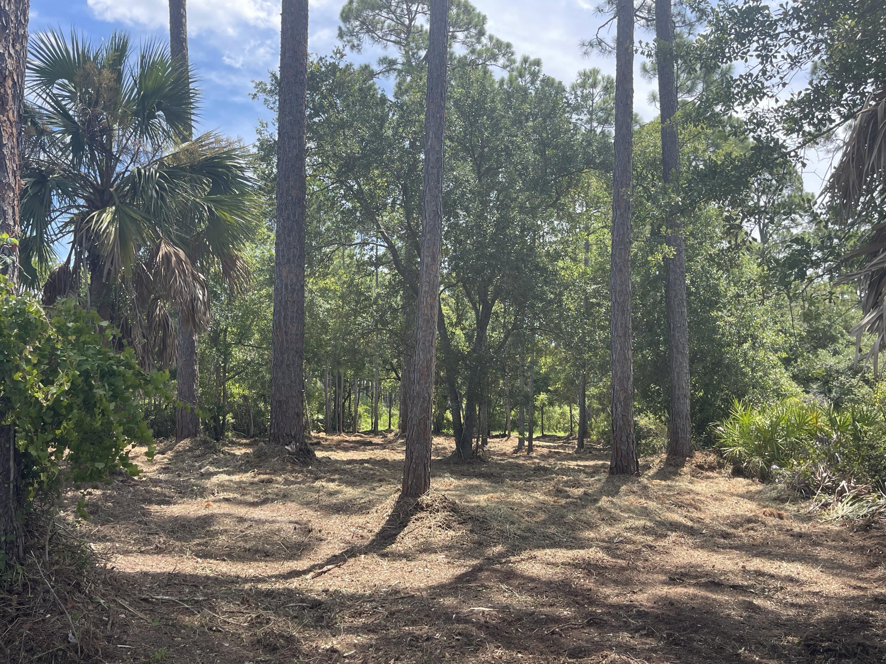 No Named Subdivision - Land