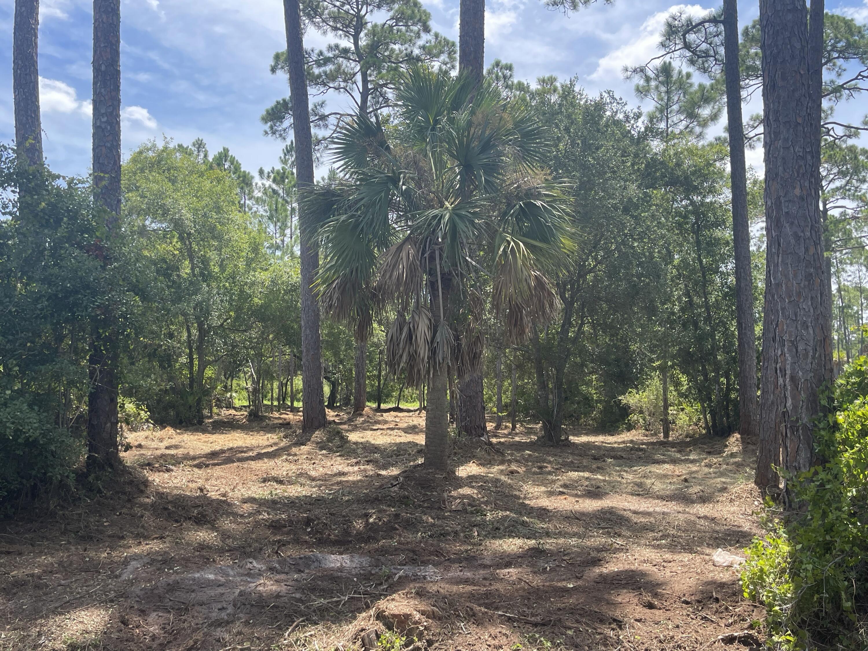 No Named Subdivision - Land