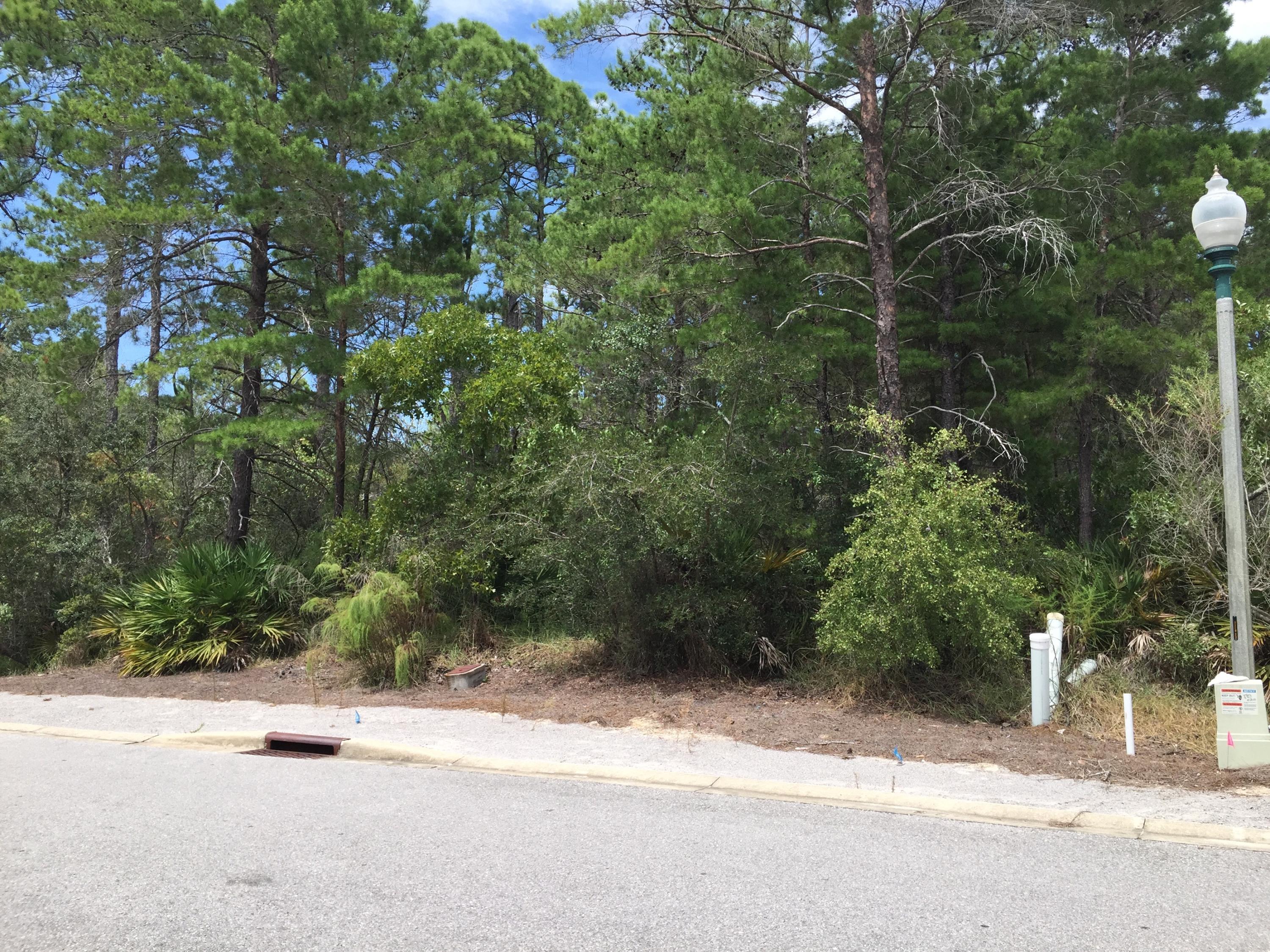 LAKESIDE AT BLUE MOUNTAIN BEACH - Land