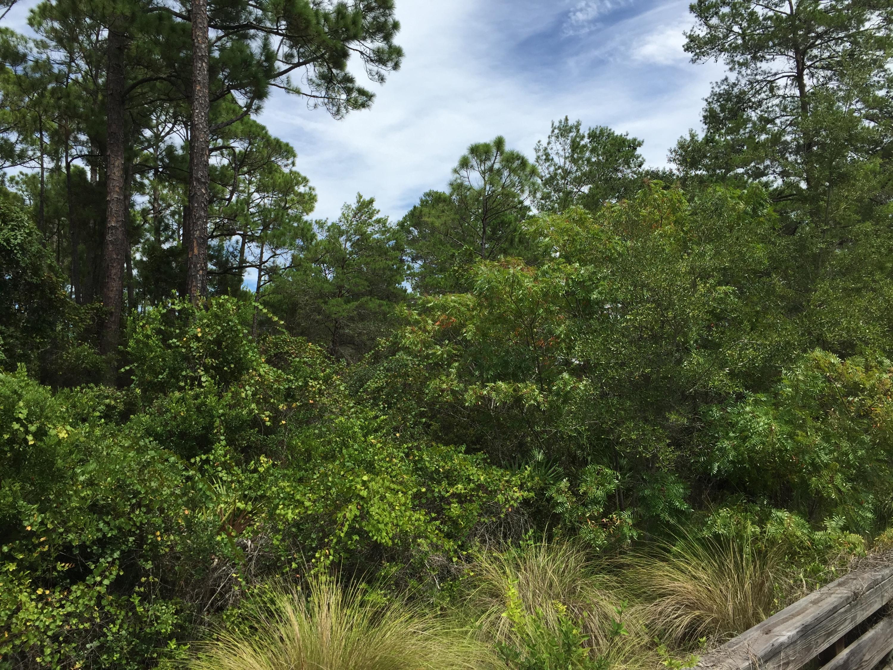 LAKESIDE AT BLUE MOUNTAIN BEACH - Land