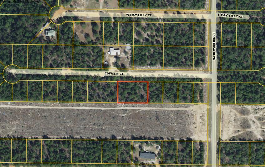 Lots 5 & 6 BLK 98 Oakwood Hills Subdivision. These beautiful lots (.459 acres) are located on Cowslip Court in the Oakwood Hills subdivision of Mossy Head Florida.