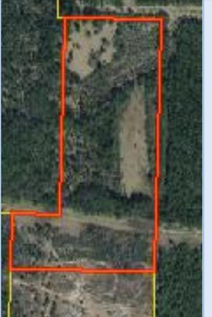 LOOKING FOR YOUR VERY OWN PIECE OF HEAVEN? THIS PROPERTY IS A VERY SECLUDED 26 PLUS ACRES IN GROWING MOSSY HEAD. PROPERTY IS PERFECT FOR YOUR HOME AWAY FROM THE HUSTLE AND BUSTLE OR A WEEKEND GETAWAY. JUST MINUTES TO THE I10 EXCHANGE, 20 MINUTES TO CRESTVIEW AND DEFUNIAK AND JUST A SMALL COMMUTE TO NICEVILLE AND EGLIN AFB. PROPERTY HAS AMAZING VIEW AND LOTS OF WILDLIFE. MAKES FOR A GREAT HUNTING RETREAT! PLEASE DO NOT SEND CUSTOMERS TO PROPERTY TO VIEW WITHOUT AGENT.