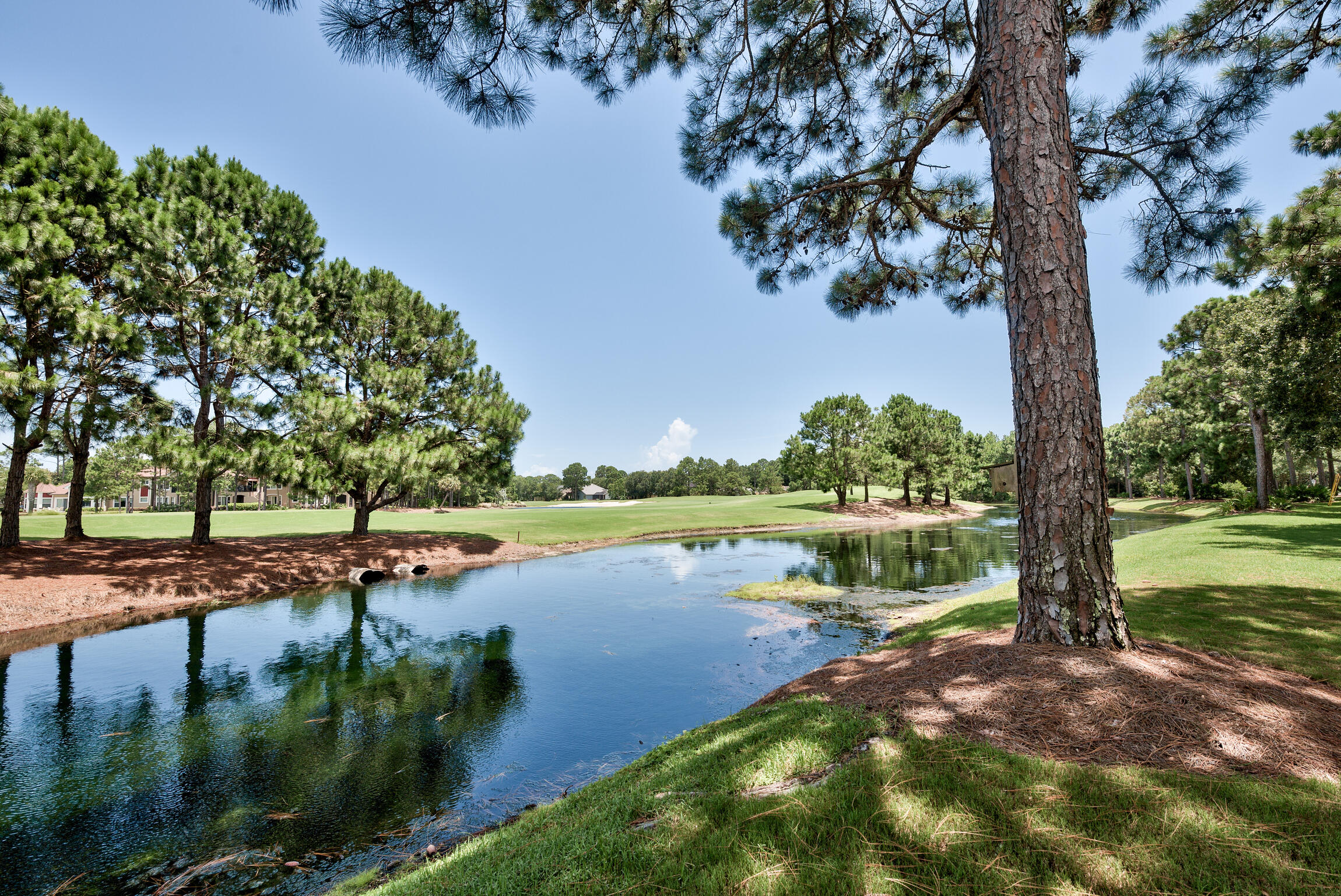 TROON DRIVE - Residential
