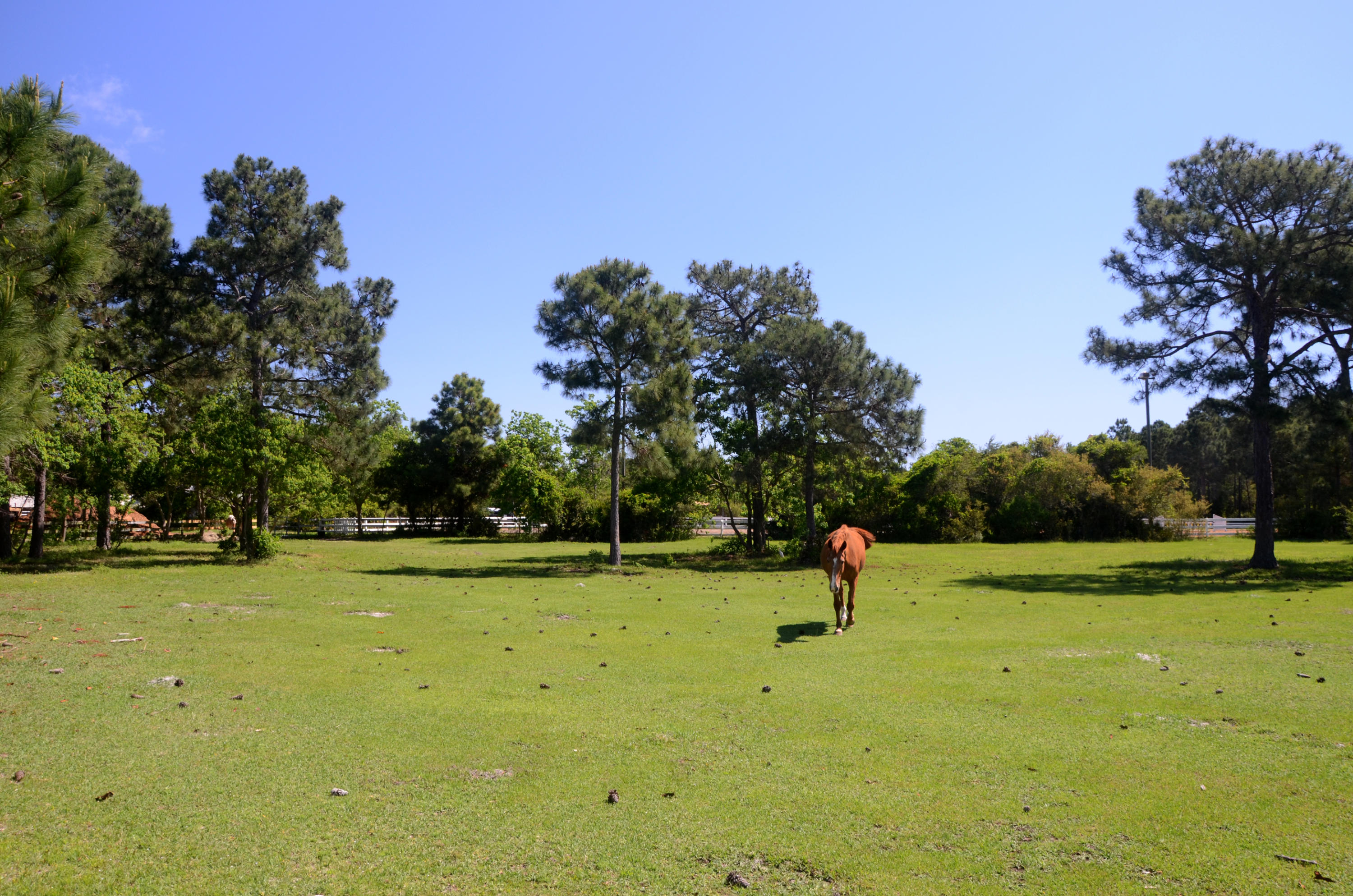 KELLY PLANTATION S/D - Land
