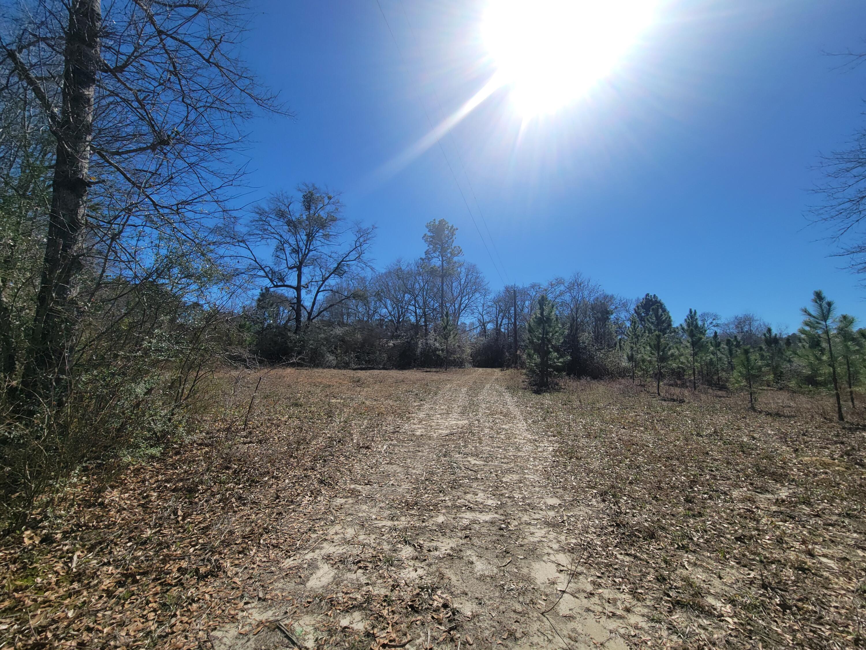 10 acres ready for a new house or manufactured home.  There is an older home that has been given no value, septic and well were given no value due to age and no pump on shallow well. (house is beyond fixer-upper condition) ...Seller has ordered new 10 acre survey  of the East 1/ 2 of his legal description.  Survey is underway today.  Property has some old fencing, but not completely fenced.  Gate is locked to the property, please call Agent to show Properrty.