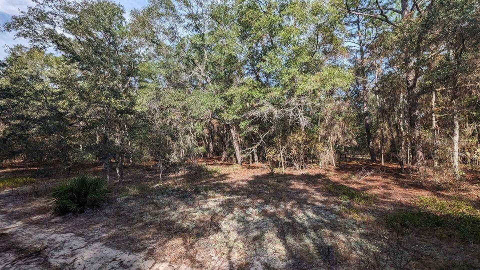 LAKEWOOD ESTATES - Land
