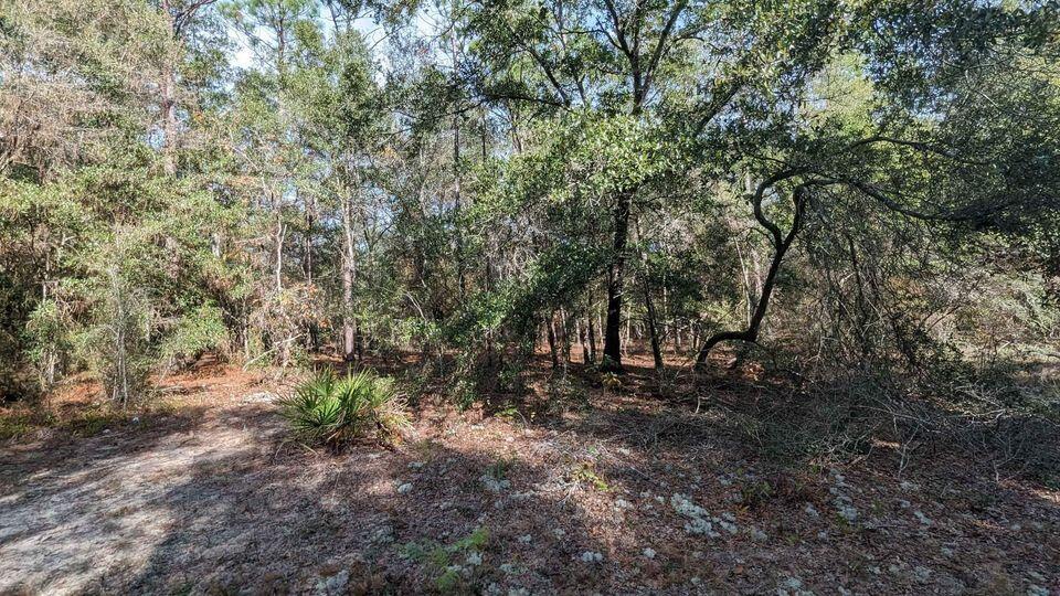LAKEWOOD ESTATES - Land