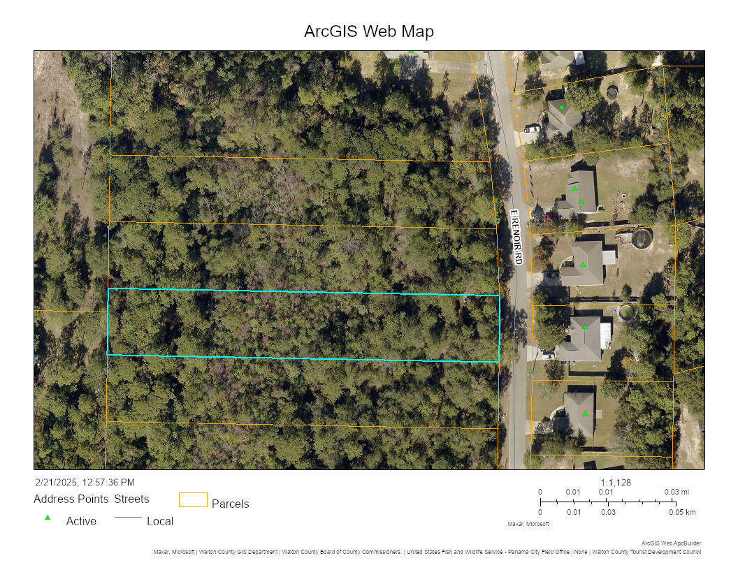 PRICE REDUCTION!! Check out this .86 acre lot ready for you to establish your new home & located less than 5 mins from town. Restrictions are minimal. Mobile homes, site built, or tiny homes allowed. No minimum sqft requirements. Zoned Urban Residential. This lot has a small creek/wetlands. *Flood Zone X on the front portion with a slight slope down to the creek/wetlands & Flood Zone A at the back. *Electric & city water at E Renoir Rd *Septic Required. *No Active HOA or assessment fees. Buyer needs to verify building codes, zoning regulations, wetlands & flood zones, etc with proper local authorities to ensure the ability to utilize the property for intended use. The adjacent lot 5 is also available.