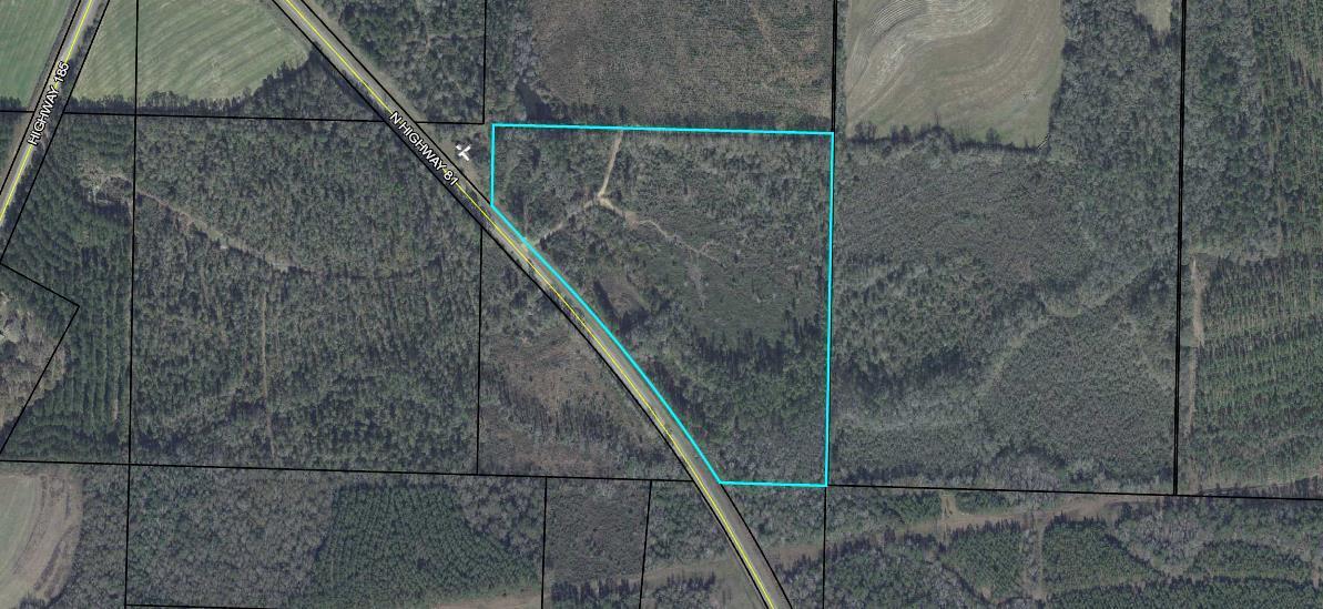 Over 30+/- acres perfect for your new home, hunting retreat or farm! This property has road frontage on Hwy 81 North. The seller is selling approx. 5 acres across the road that is still showing included in the property appraisers website info. This listing is for the property on the East side of 81 only. The location is great for those who want the country feel but still within short driving distance to DeFuniak Springs and the Beaches of South Walton. Check it out and and please contact me with any questions.