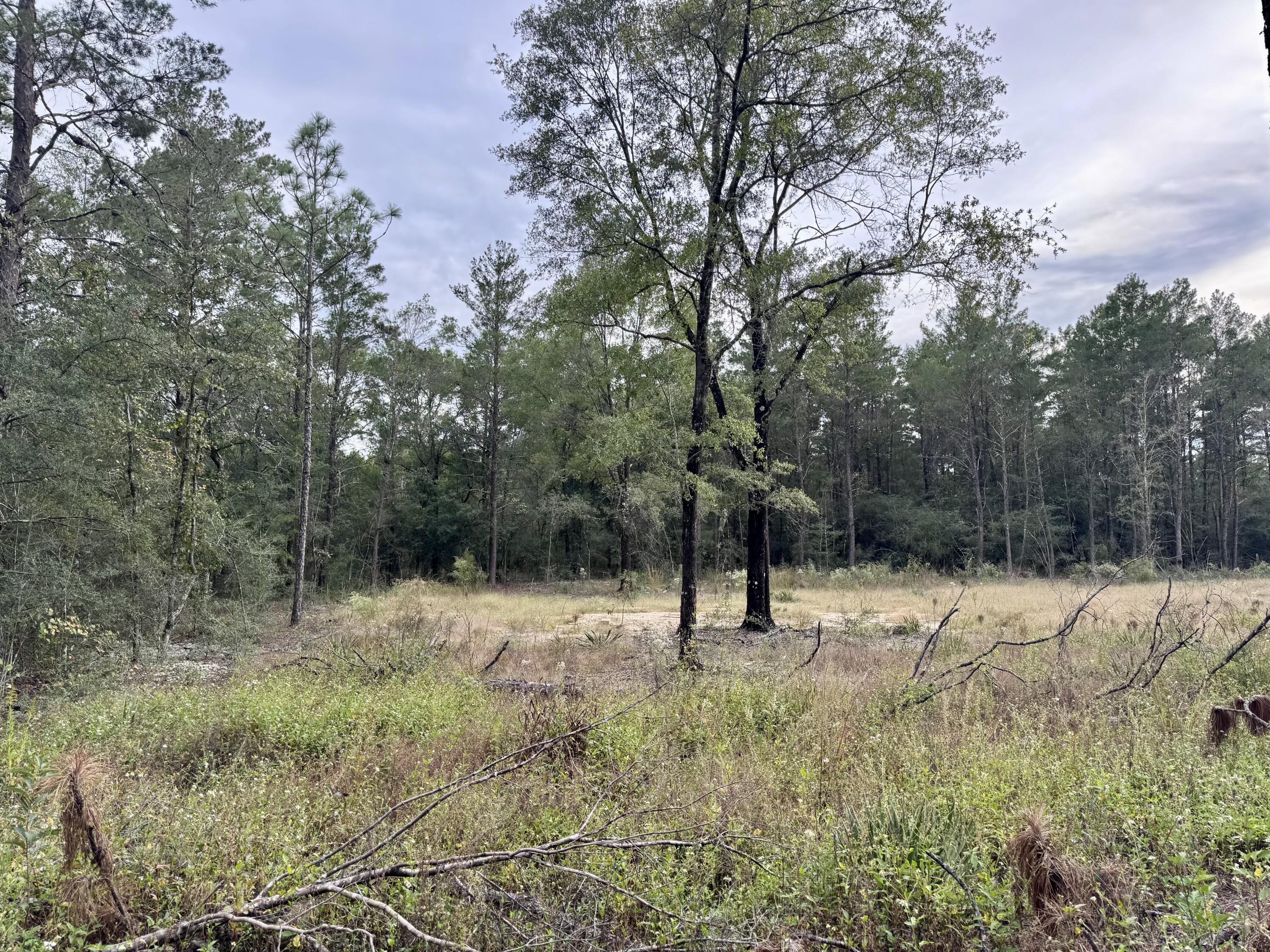 OAKWOOD HILLS UNIT 2 - Land