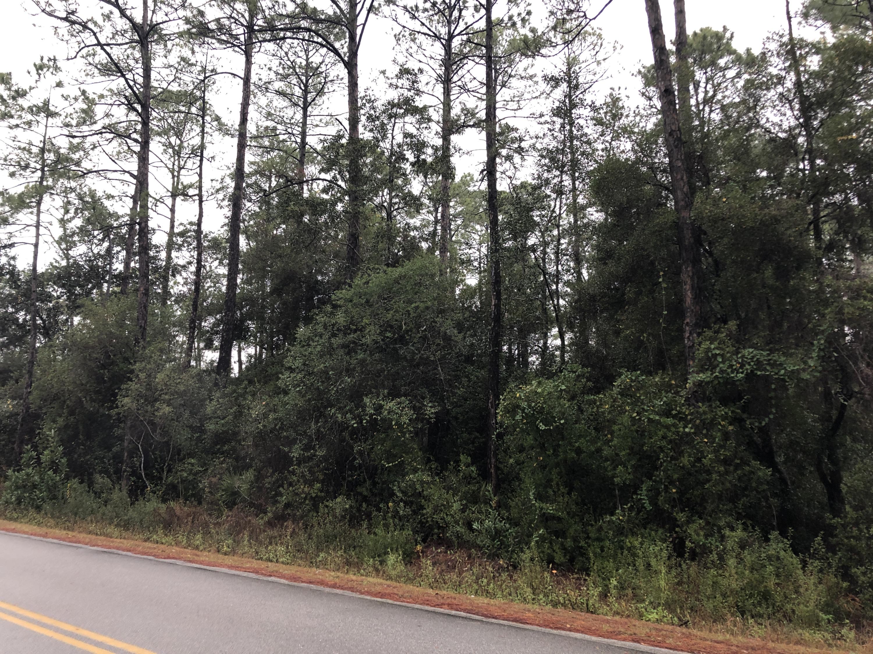 Great Lot in Magnolia Beach Subdivision, close to the Bay. Nice, wooded 50x150 homesite just 0.32 miles to Bay access at the end of Cabbage Rose Lane, and a 10 minute drive to Grayton Beach. Enjoy all that South Walton has to offer from this quiet, centrally located neighborhood. No mobile home are allowed, but also no HOA Dues, and no build-out time deadlines.
Jurisdictional wetlands are present on this lot. A homesite could be filled with proper permitting from the appropriate regulatory agencies.