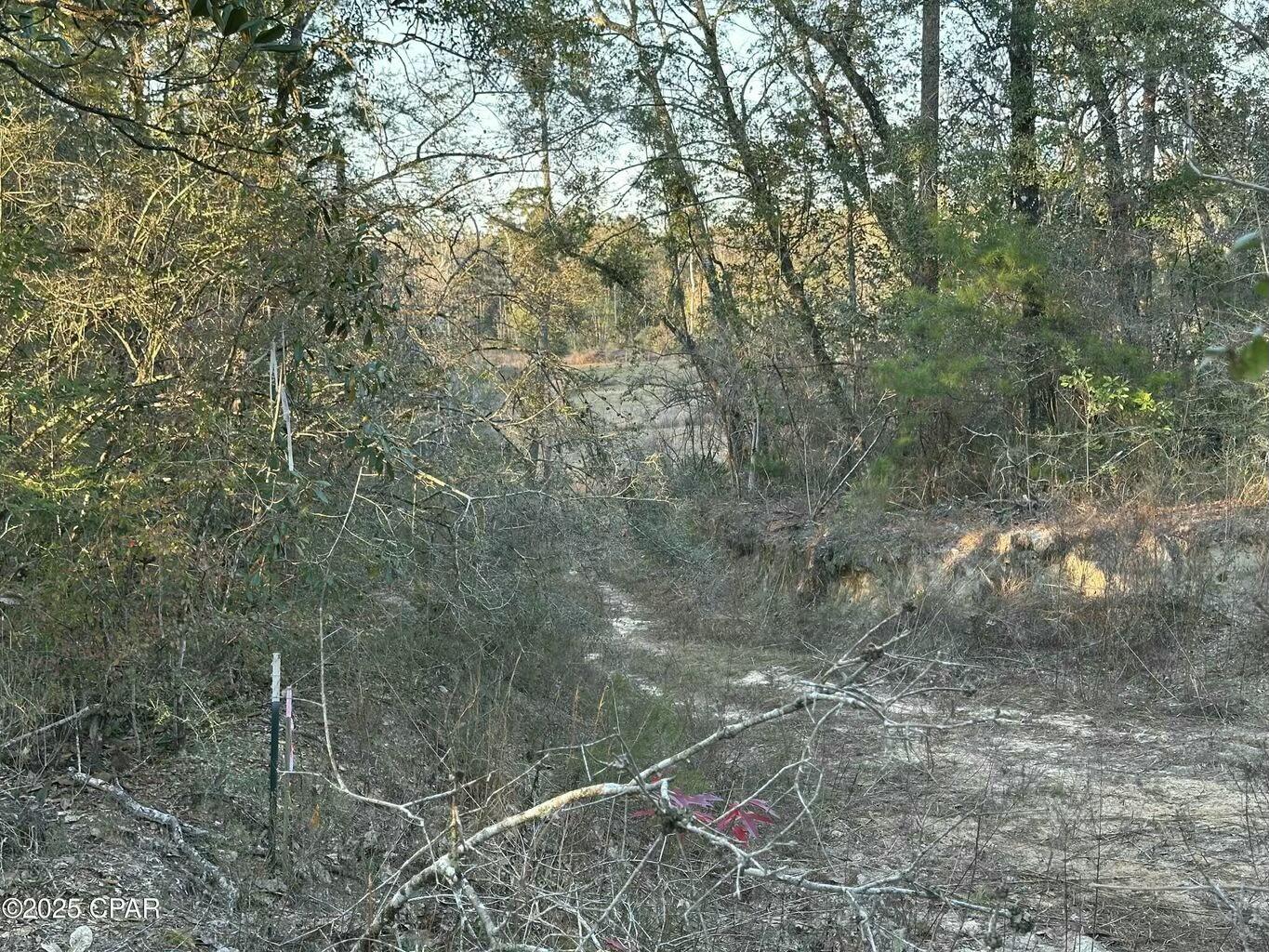 Riverside Estates Lot 3 - Land