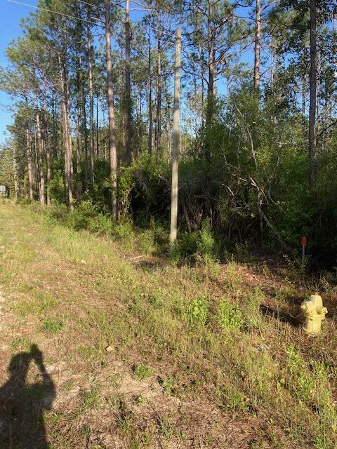 SANTA ROSA PLANTATION - Land