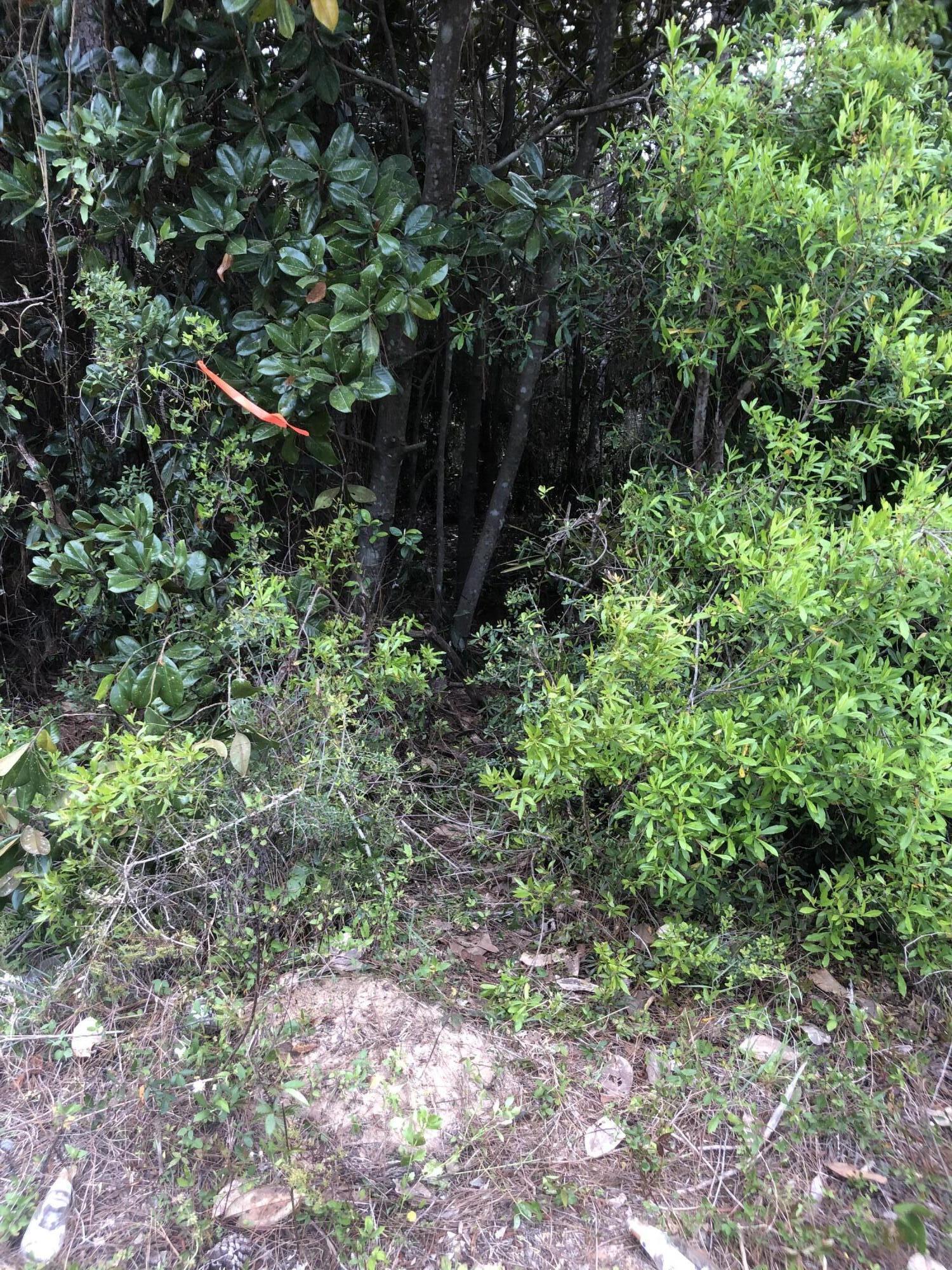OAKWOOD HILLS UNIT 2 - Land
