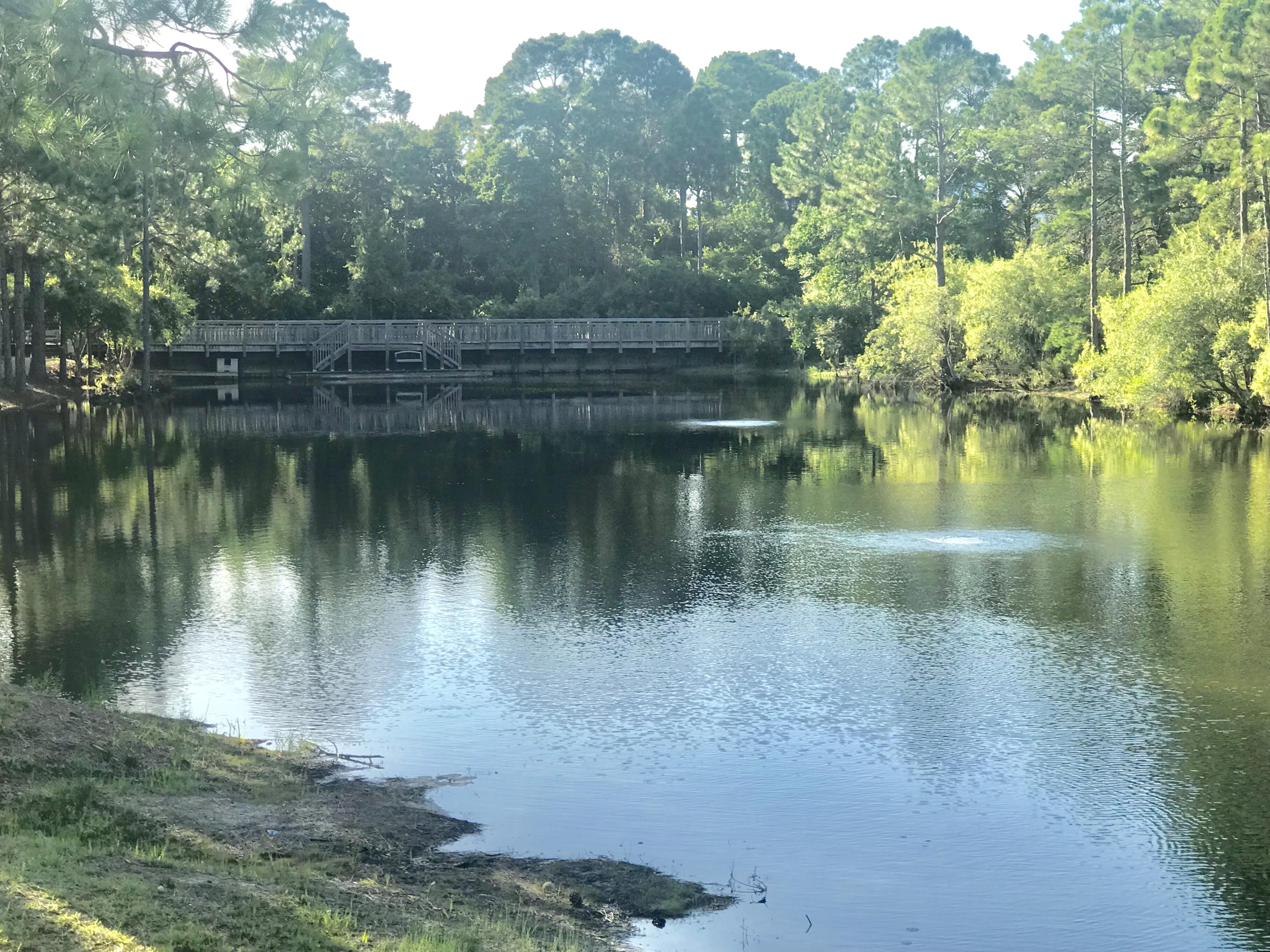 FOREST LAKES PH I - Land