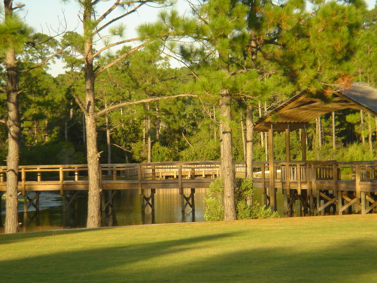 FOREST LAKES PH I - Land