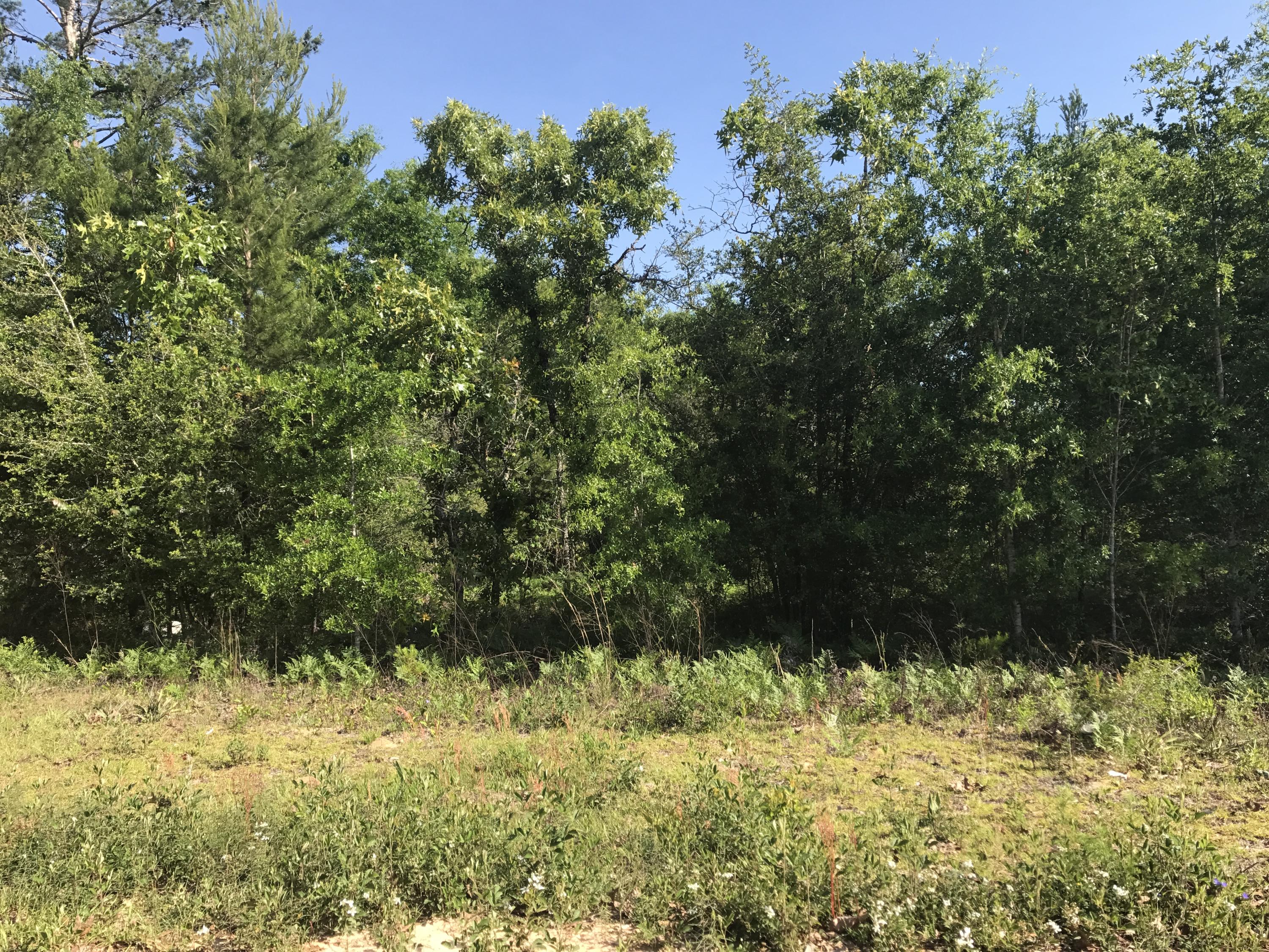 OAKWOOD HILLS UNIT 1 - Land